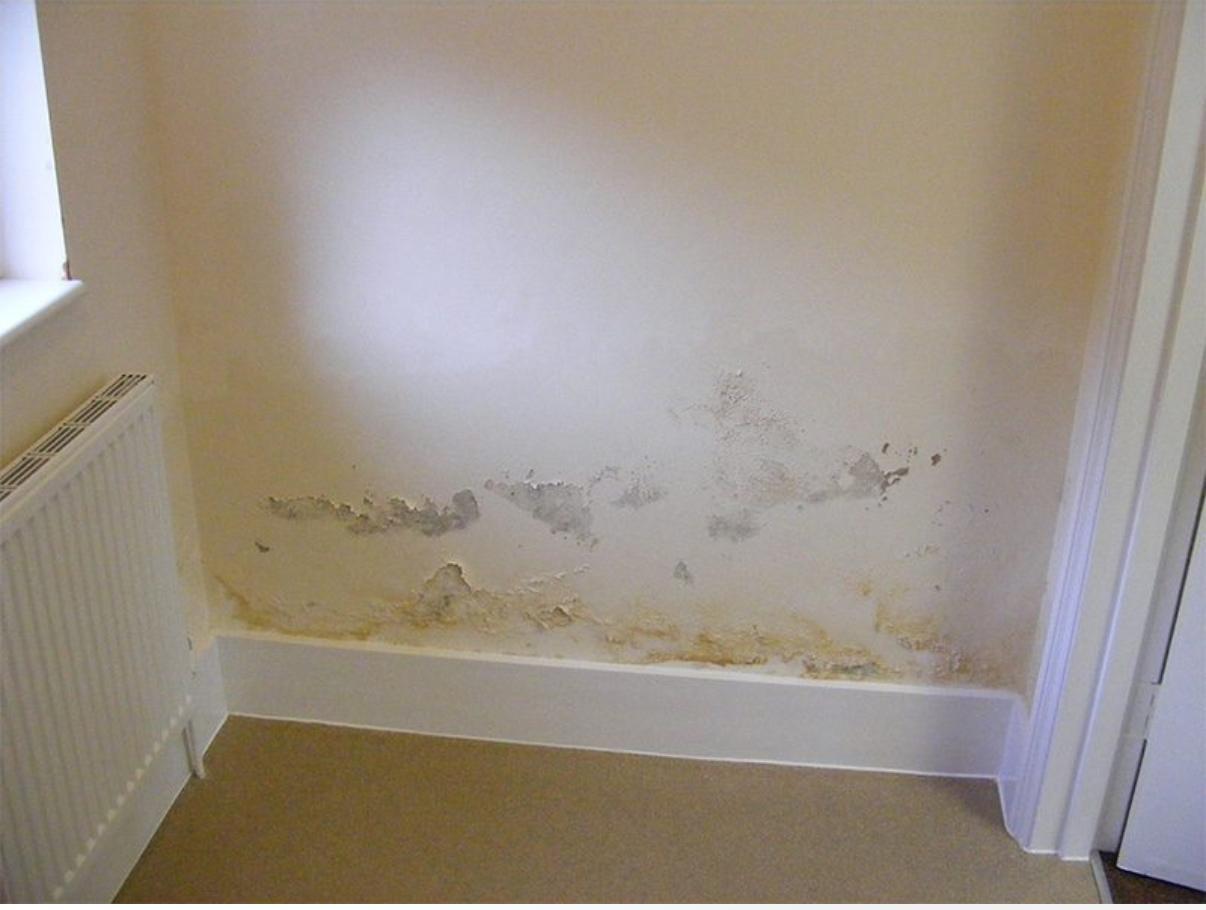 DAMP PROOFING SERVICES